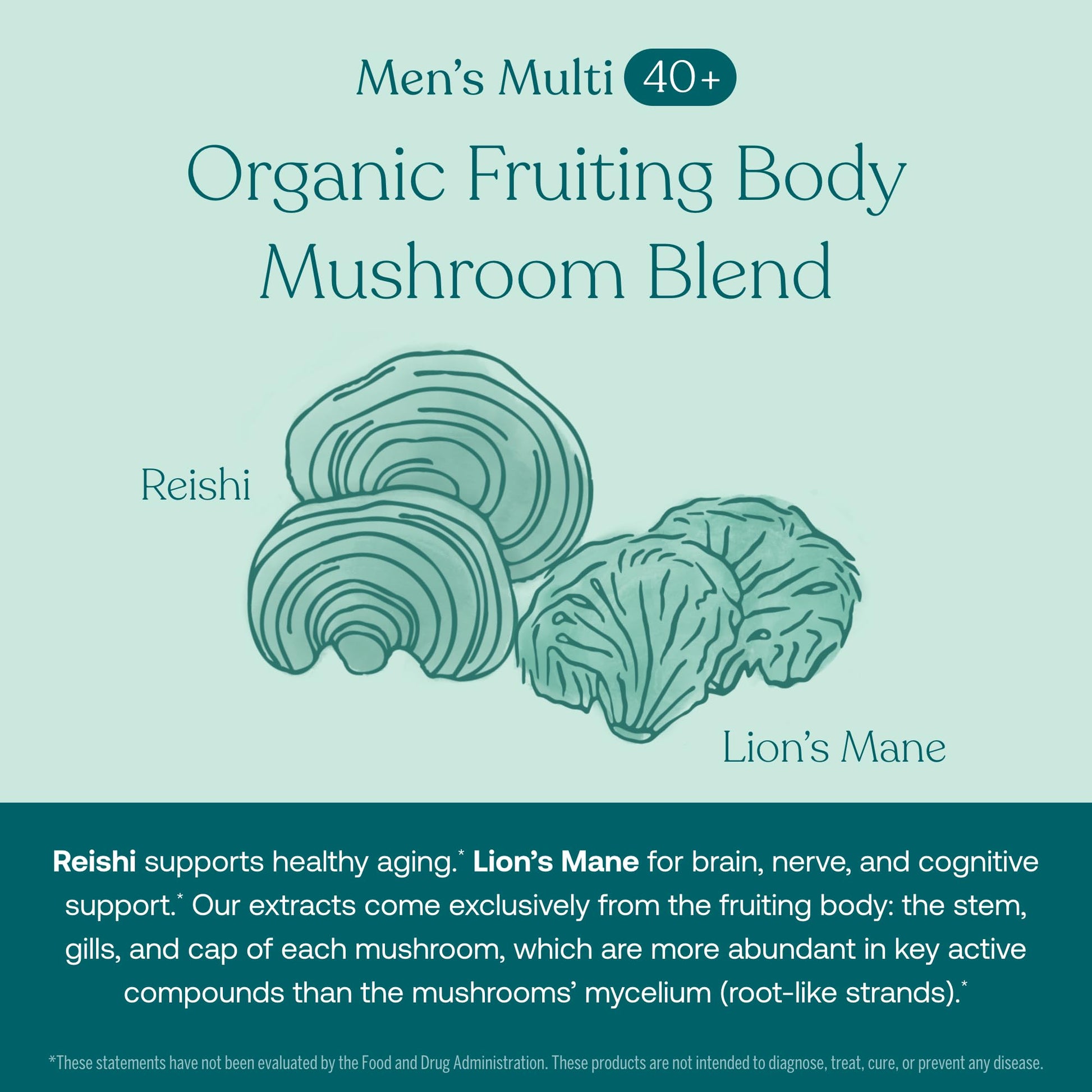 Mezcla de hongos para hombres en multivitaminas True Grace