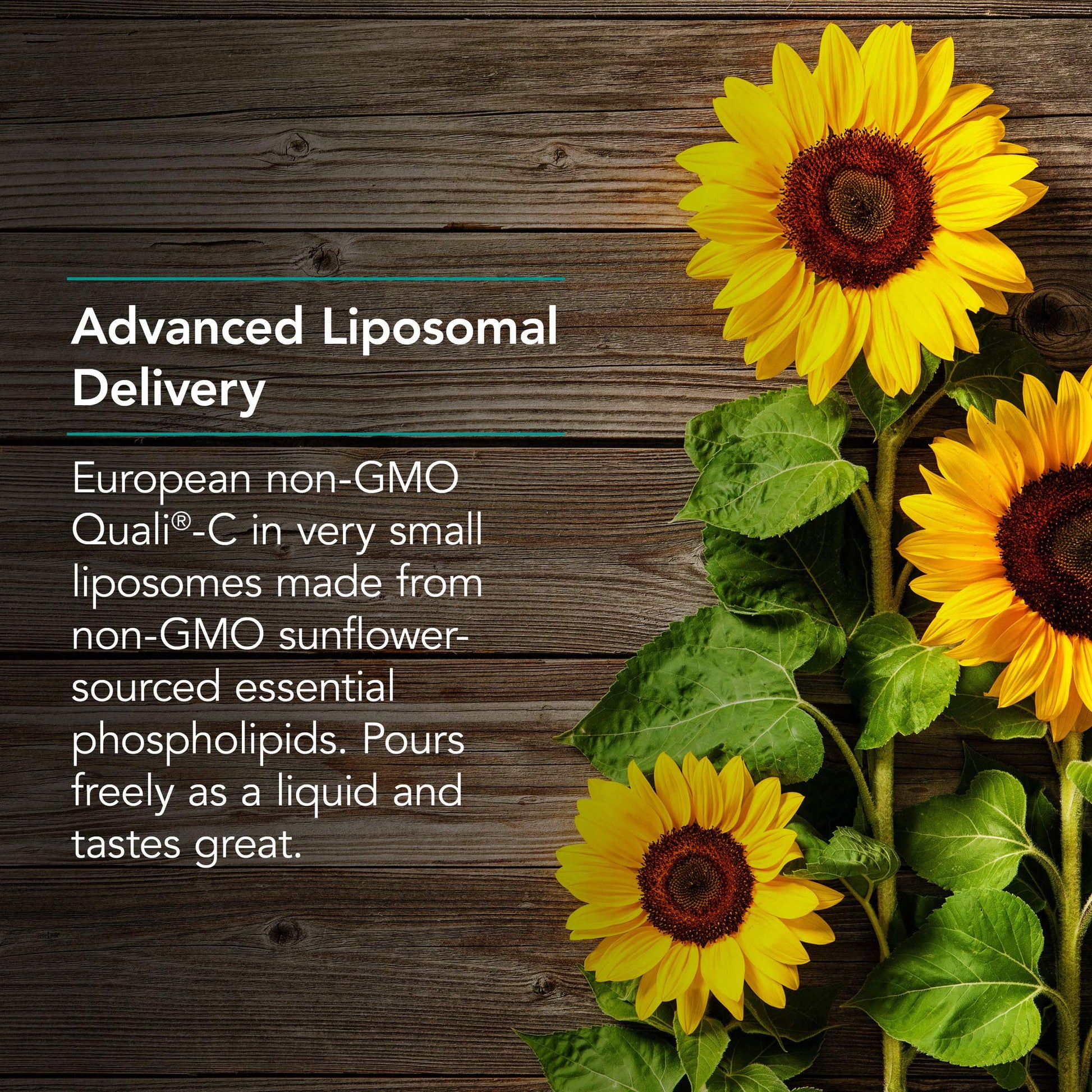 Micro Liposomal C con fosfolípidos de girasol