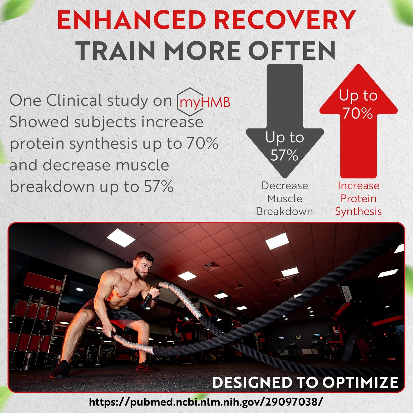 Muscle Genesis envase HMB vitamina D3 vista trasera
