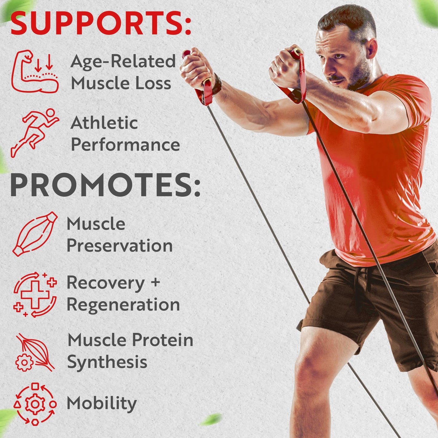 Muscle Genesis suplementos HMB con vitaminas suplemento