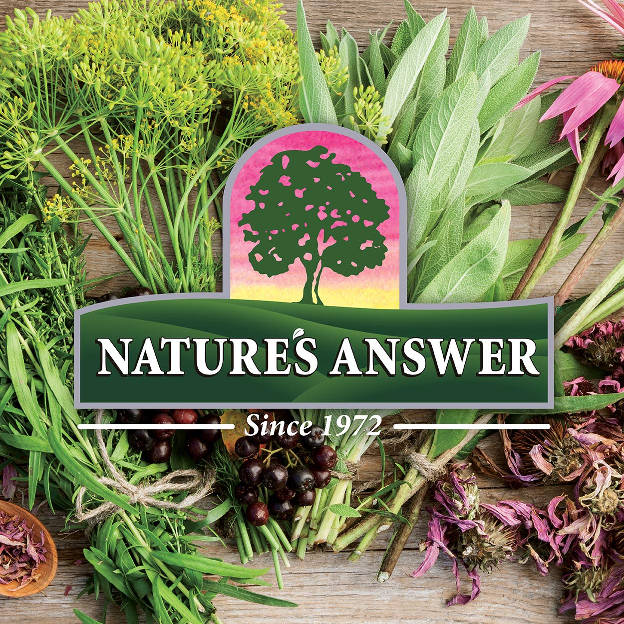 Nature's Answer logo y fondo natural