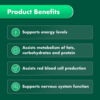 Nature's Own vitamina B12 suplemento 60 tabletas frasco frontal