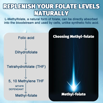 niveles de folato natural l-metilfolato