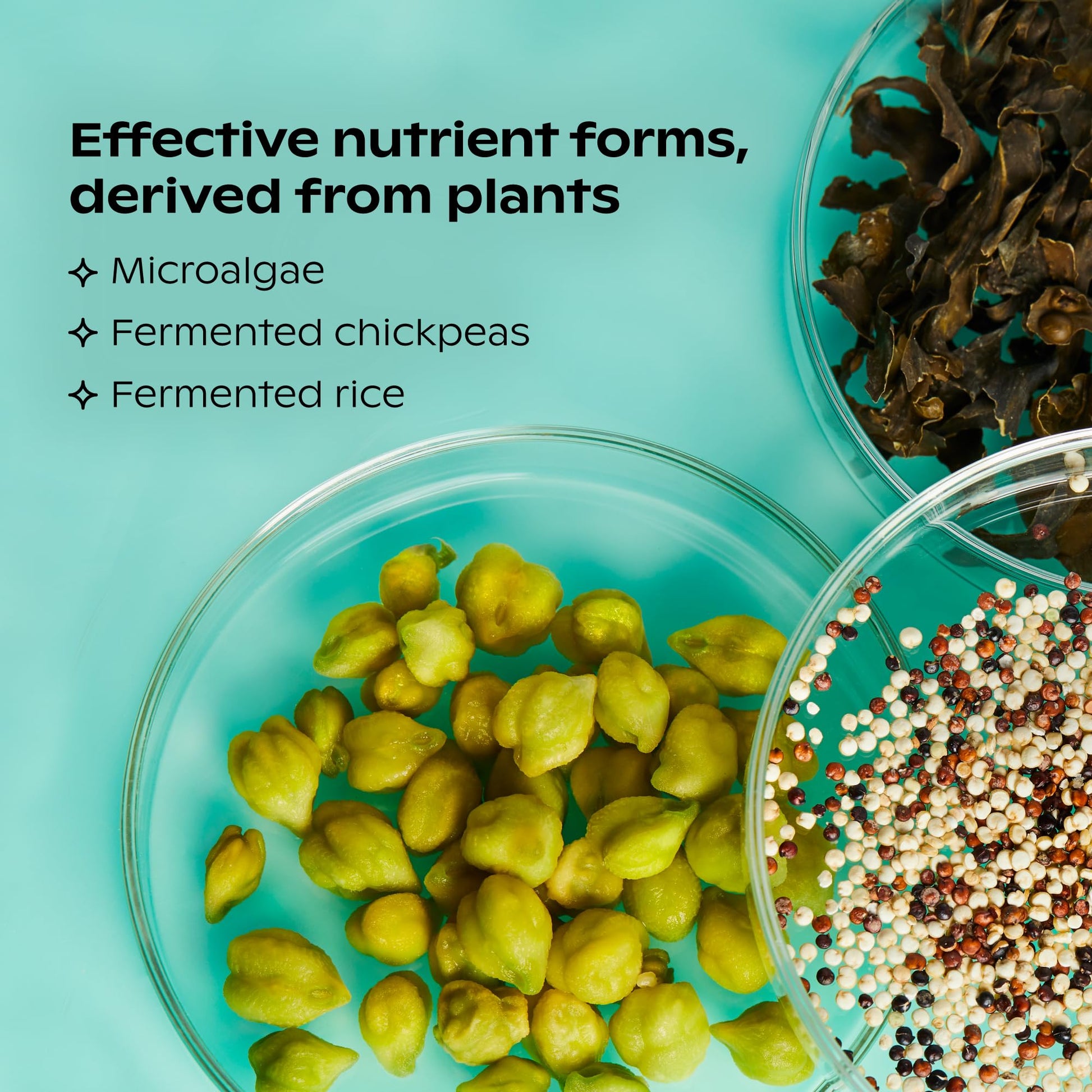 nutrientes efectivos del multivitamínico wholier derivados de plantas