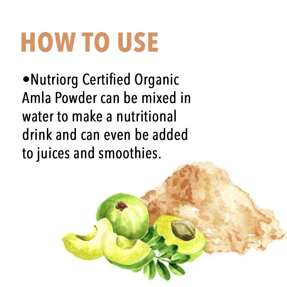 Nutriorg amla polvo orgánico nutrición bienestar