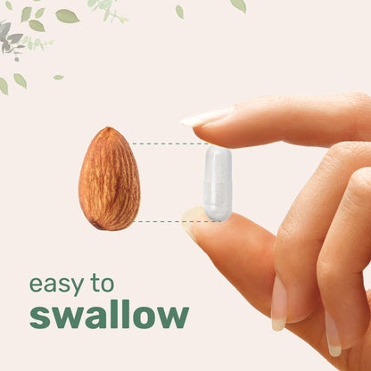 Paquete micro ingredients salud vitaminas y complejo magnesio