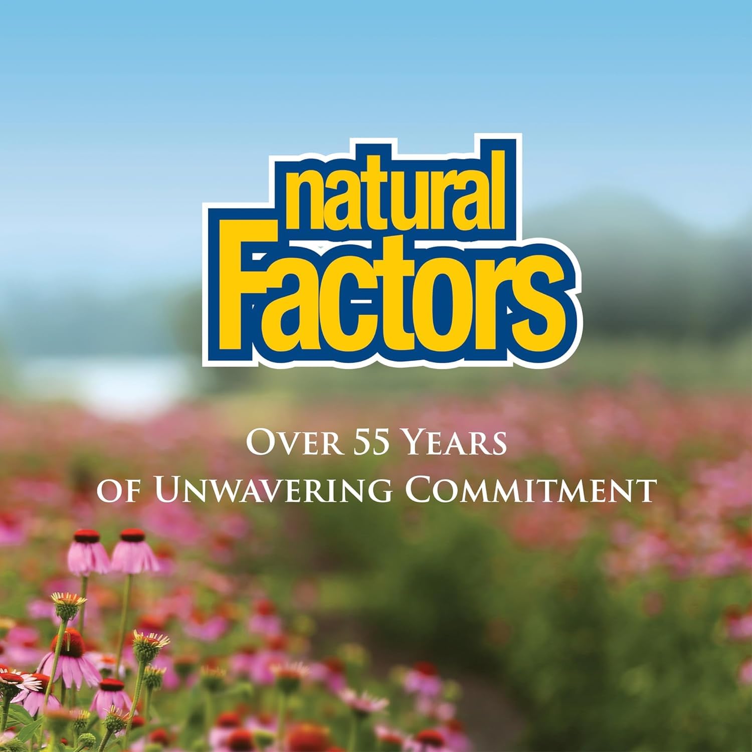 Paquete Natural Factors Vitamina C 1000mg antioxidante 90 tabletas