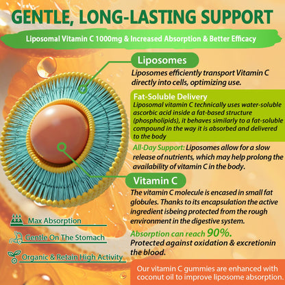 Paquete NEVISS Super Greens y Vitamina C liposomal