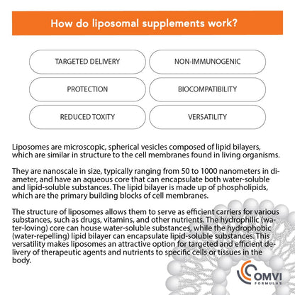 Paquete Omvi Vitamina C Liposomal