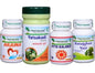 Paquete de úlceras Planet Ayurveda de 6 botellas