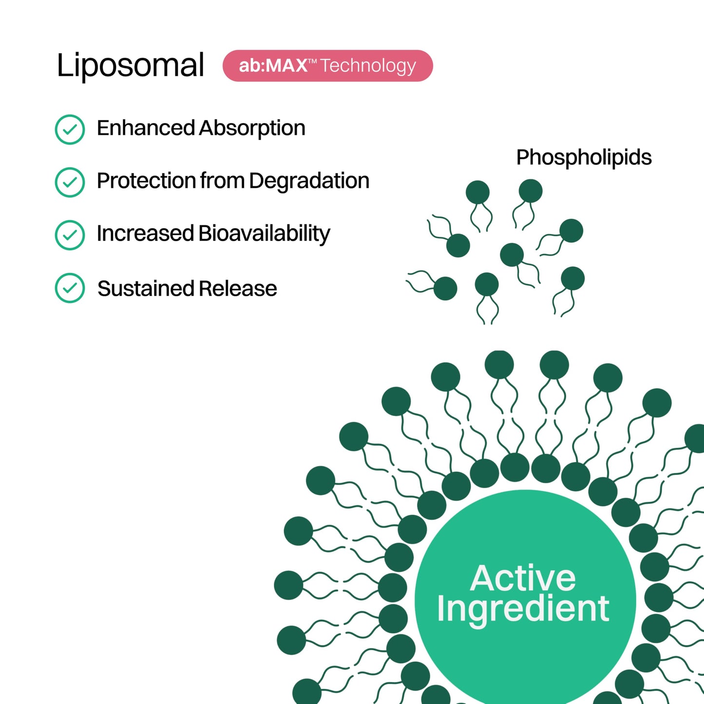 Paquetes colágeno liposomal Haroutine