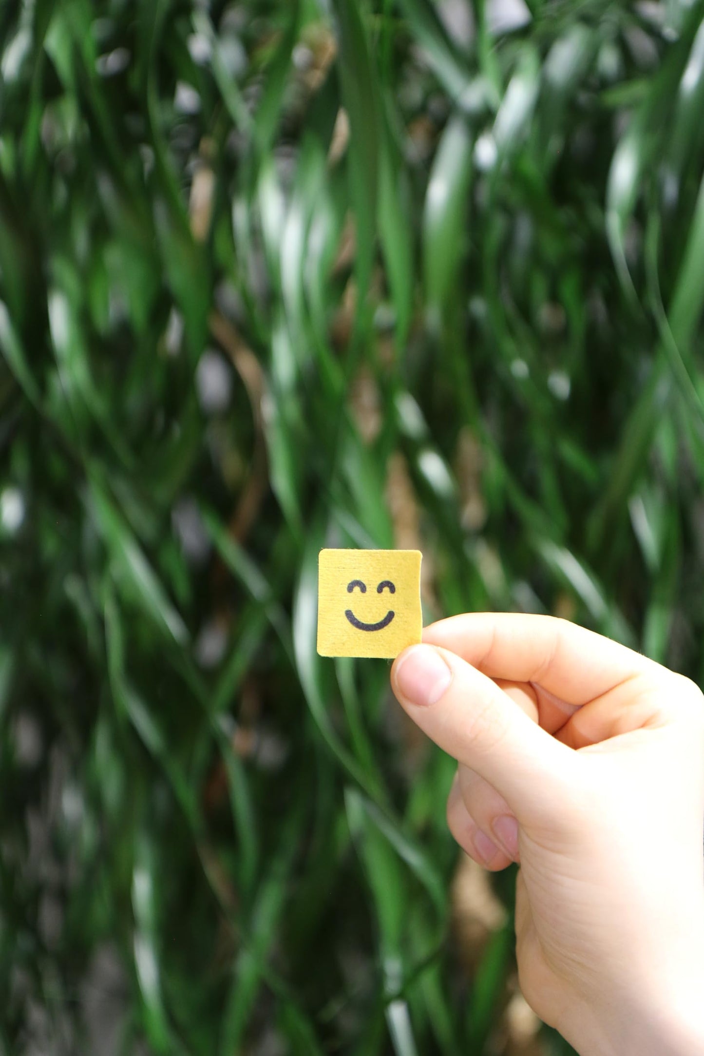 Parches energéticos naturales PatchPal para mujeres y hombres