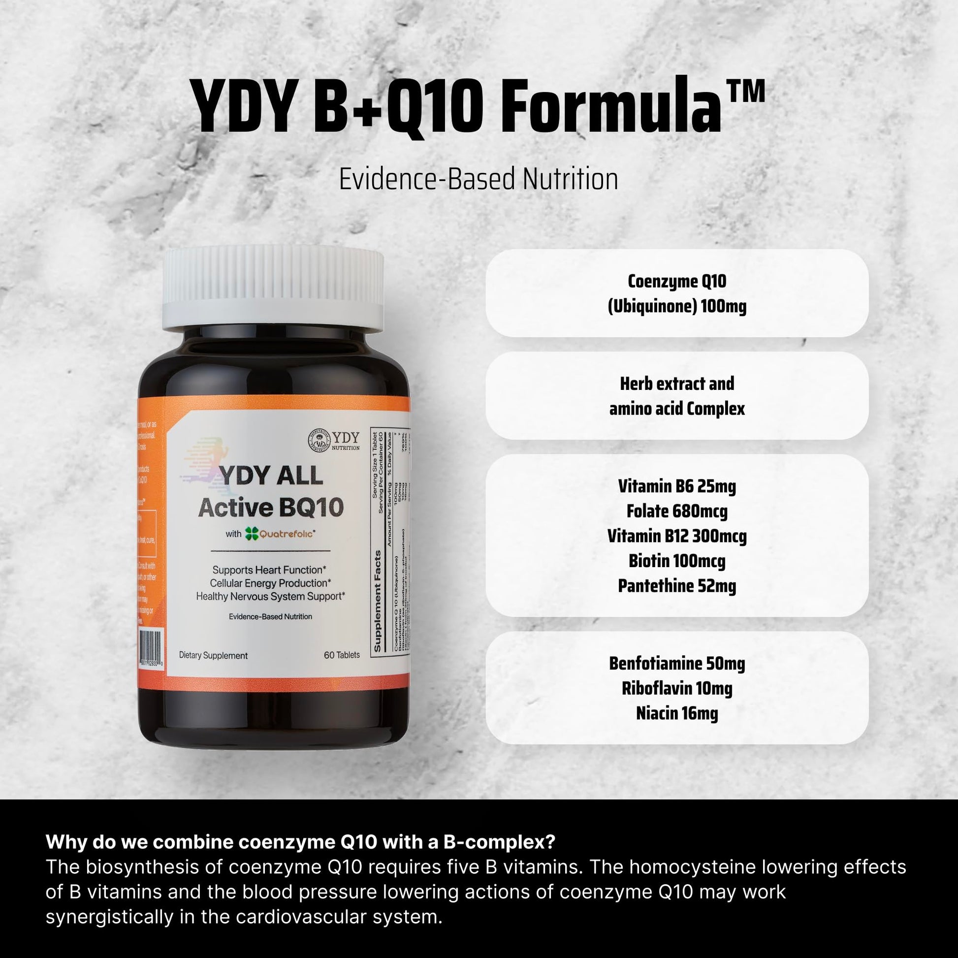 Parte trasera botella YDY All Active BQ10 ingredientes y beneficios