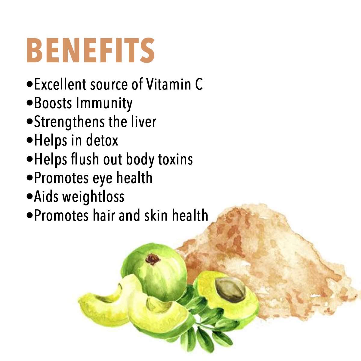 Polvo amla Nutriorg vitamina C antioxidante natural