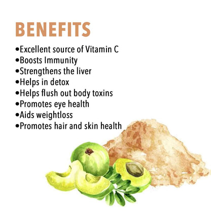 Polvo amla Nutriorg vitamina C antioxidante natural