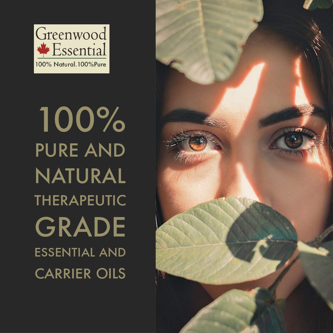 Polvo Amla productos naturales Greenwood Essential 200 gramos