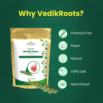 Polvo Bhumi Amla antioxidante Ayurvédico Vedikroots