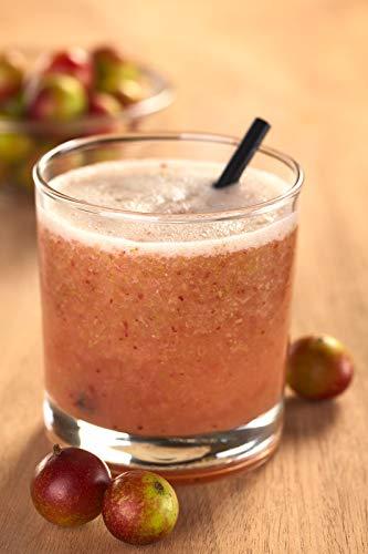 Polvo Camu Camu antioxidante neuroprotector