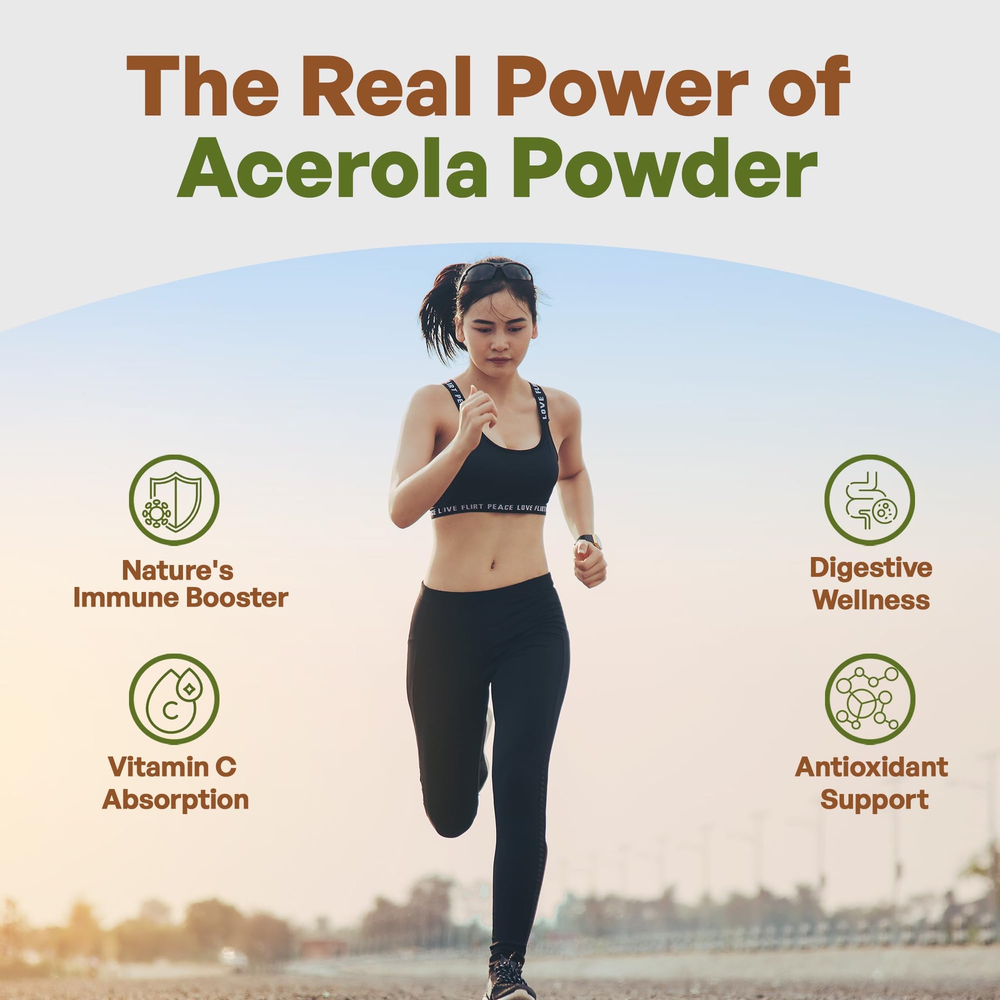 Polvo orgánico de acerola Go Nutra origen Brasil