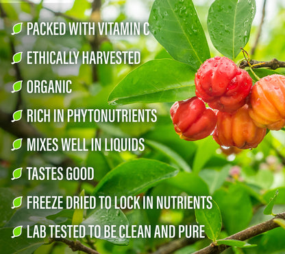 polvo puro acerola extracto natural perfect supplements