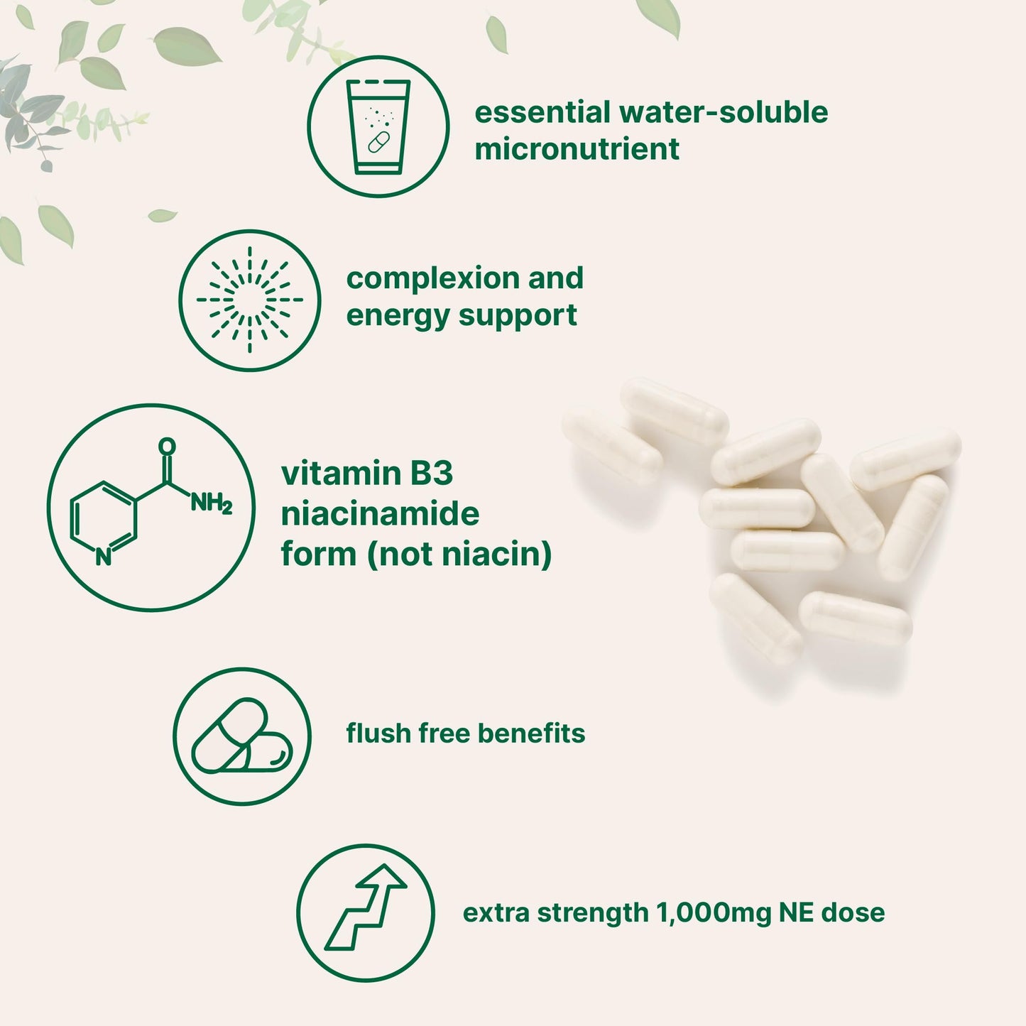 Presentación cápsulas vitamina B3 Micro Ingredients