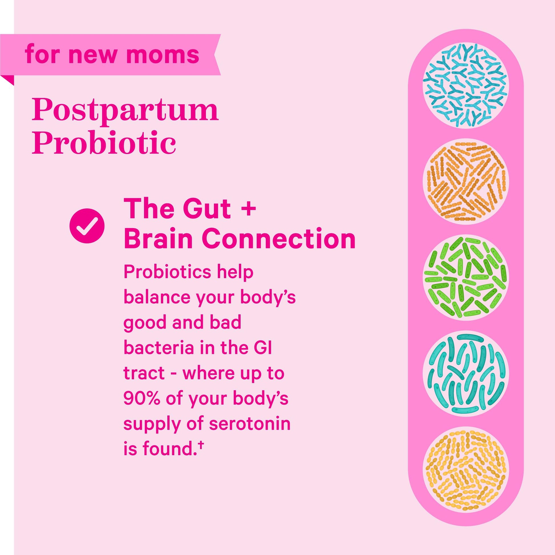 Probióticos postnatales Pink Stork para conexión intestinal y cerebral