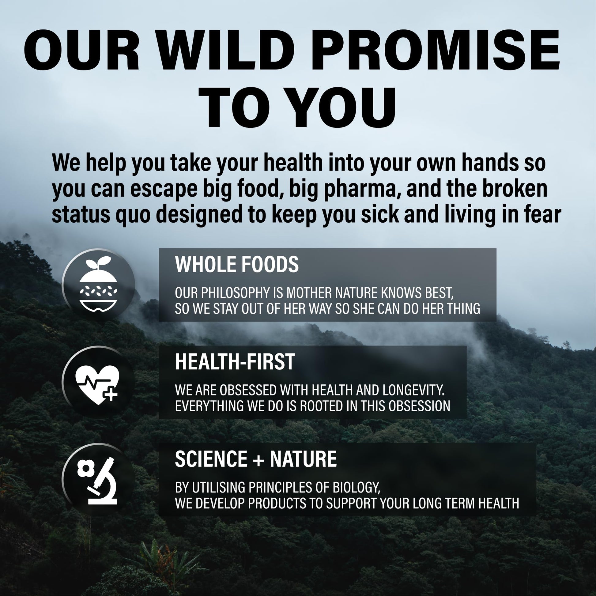 promesa de salud multivitamínico metilado wild foods