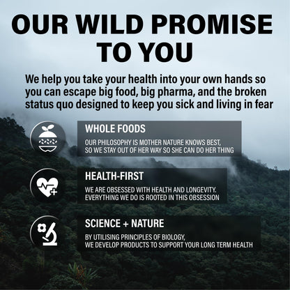 promesa de salud multivitamínico metilado wild foods