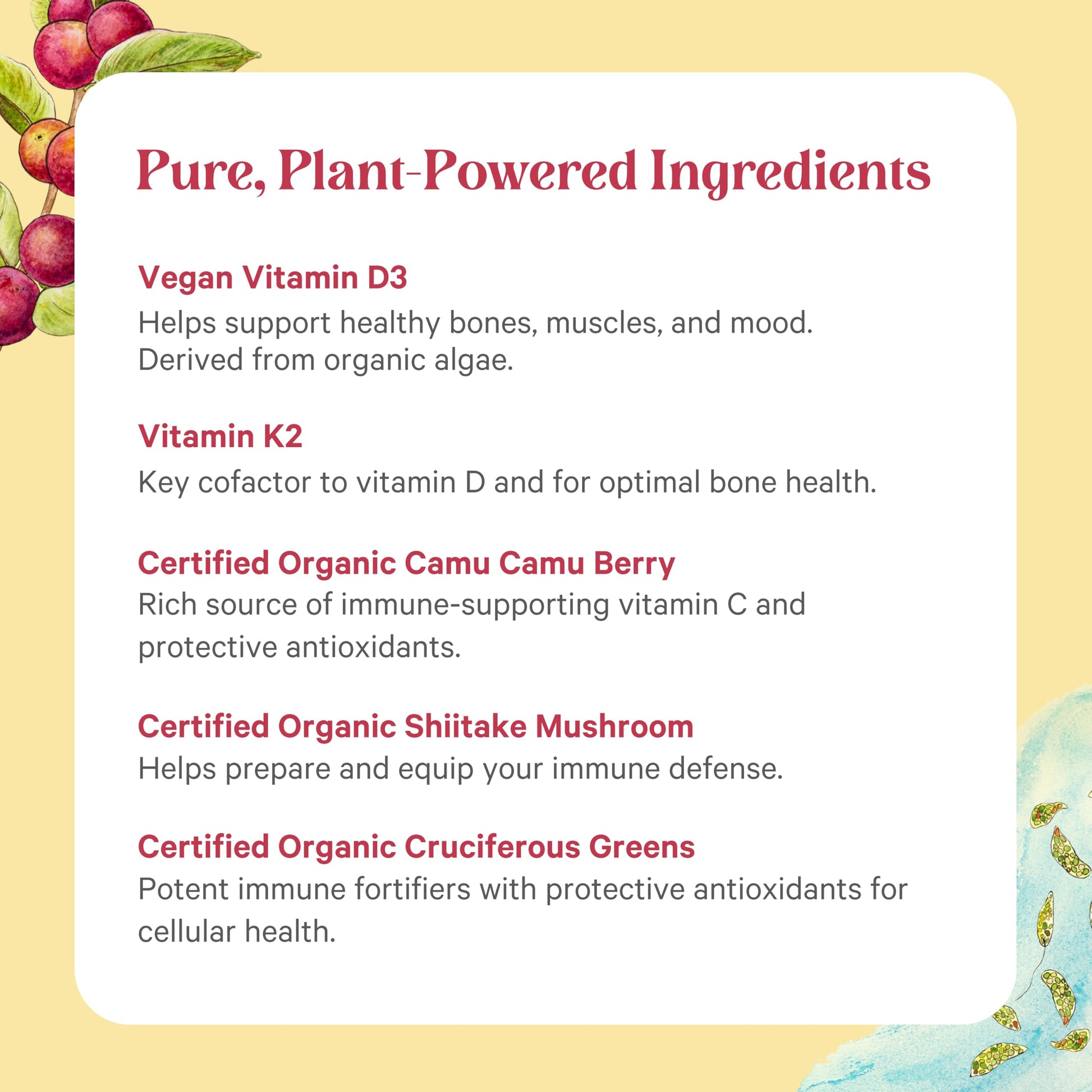 PURE SYNERGY vitamina D3 K2 vegana con K1 cápsulas para sistema inmune