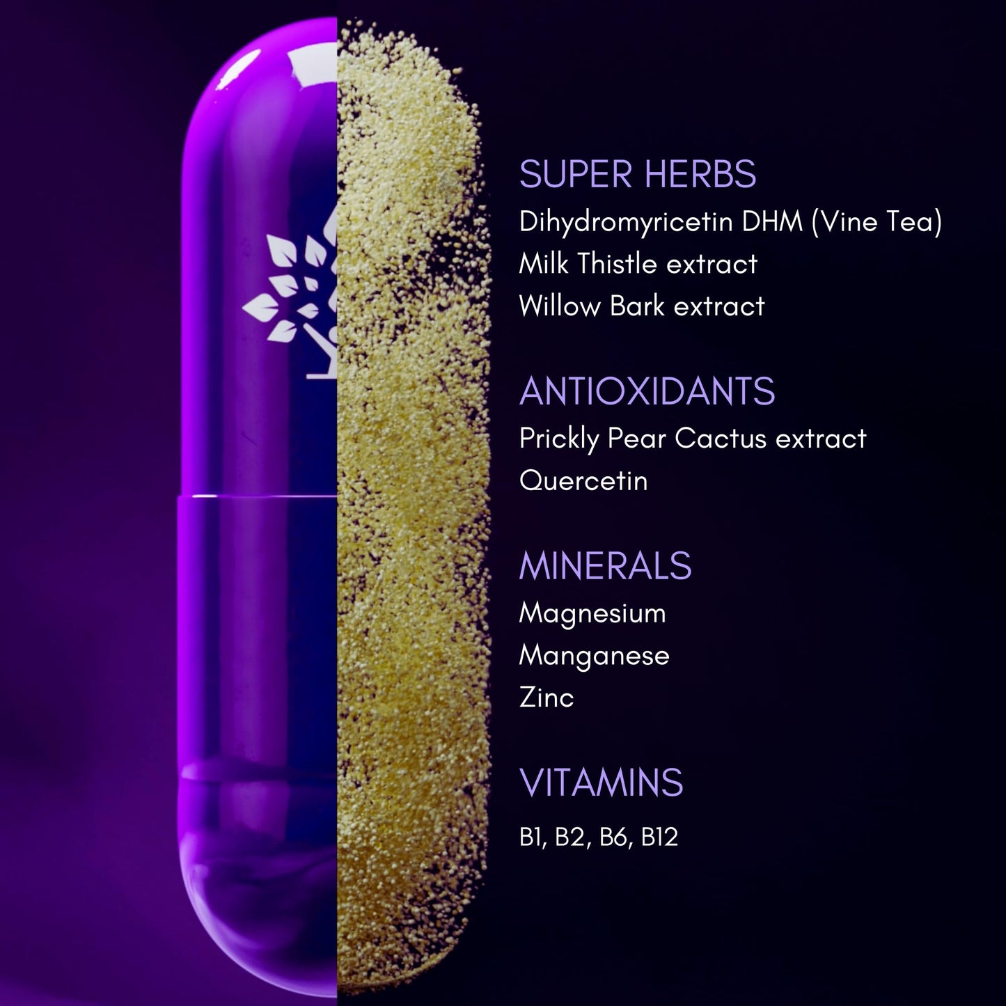 Purple Tree recuperación matutina con 12 ingredientes