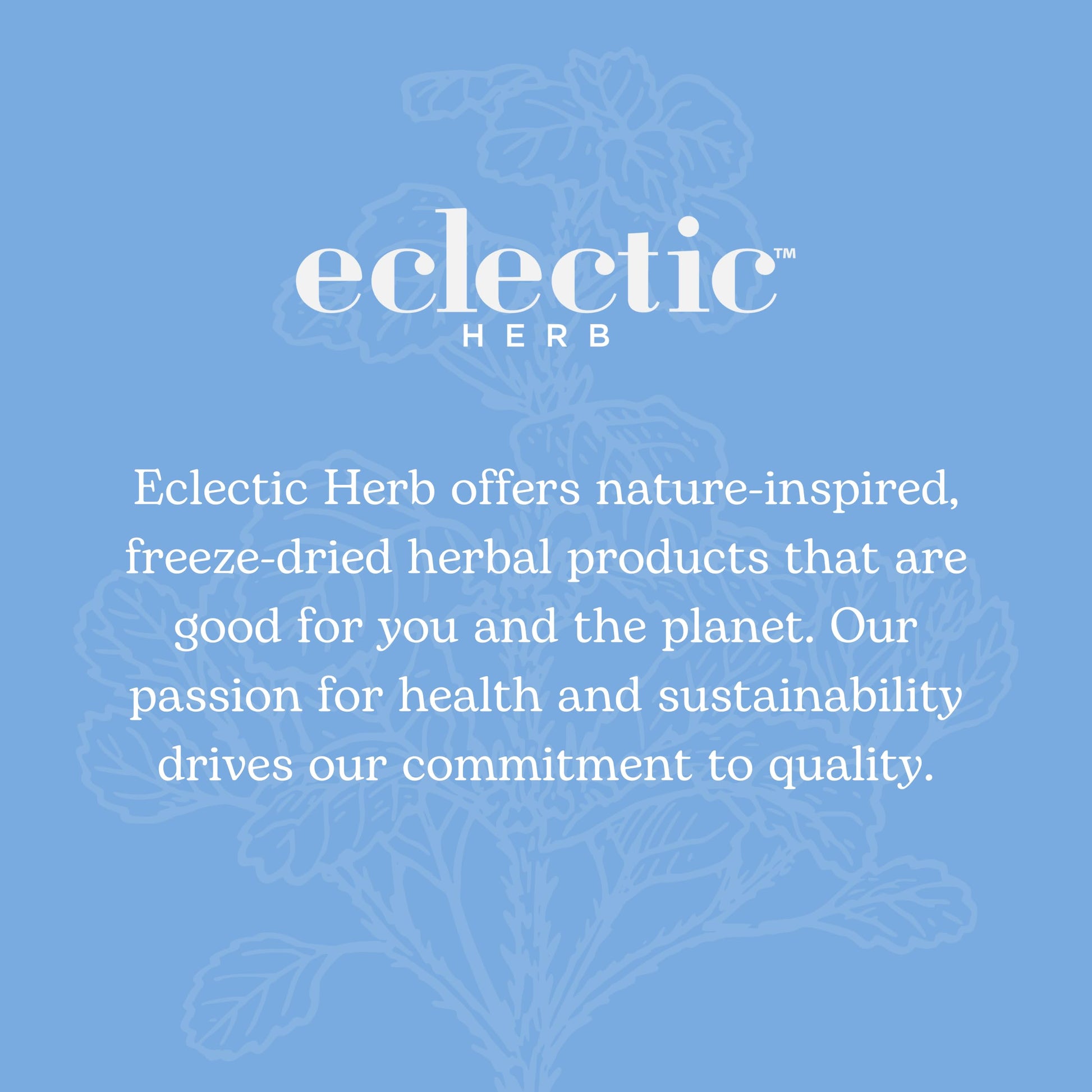 Raíz de cardo Eclectic, producto ecológico y kosher