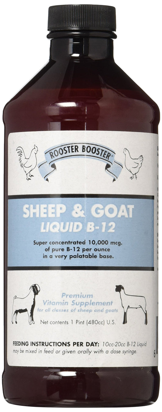 Rooster Booster B-12 líquido suplemento 16 oz para ovejas y cabras