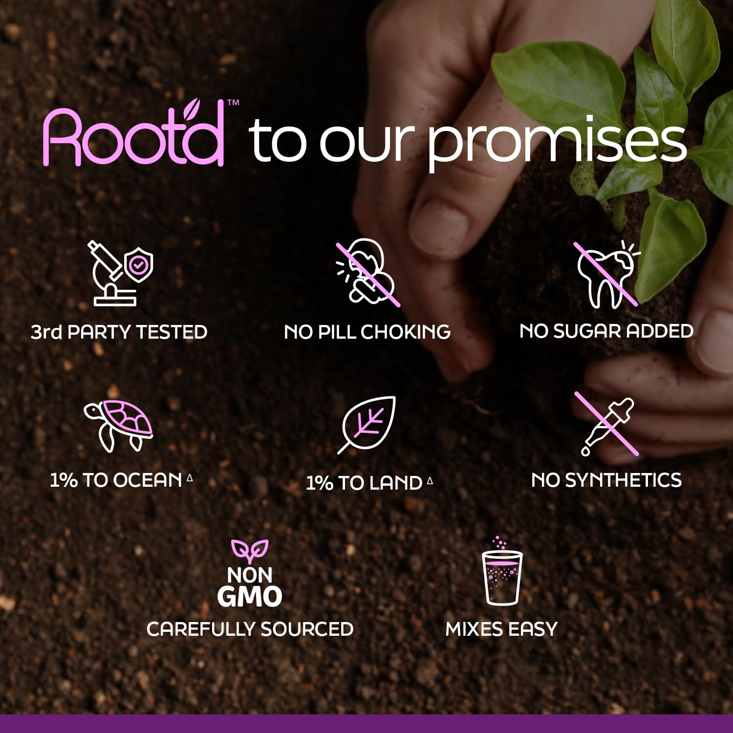 Sabor y beneficios de Root'd polvo multivitamínico prenatal para mamá y bebé