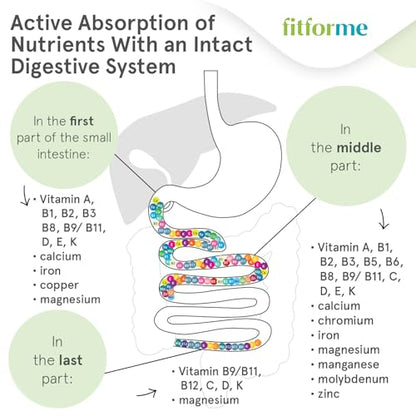 Sistema digestivo y absorción de FitForMe