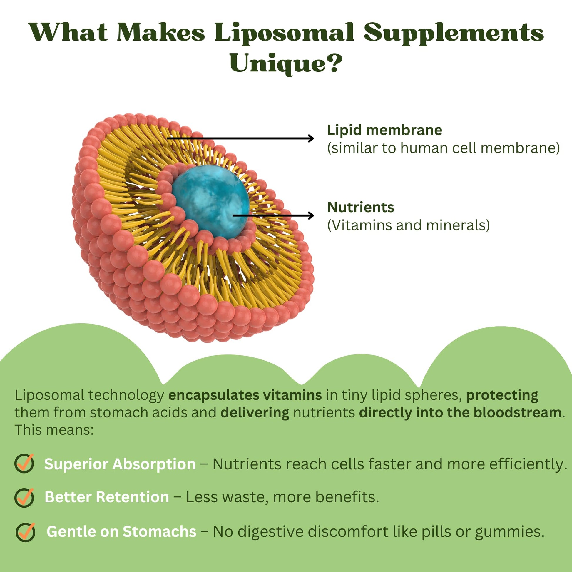 Ilustración del sistema liposomal único presente en el multivitamínico Liposomal Kids.