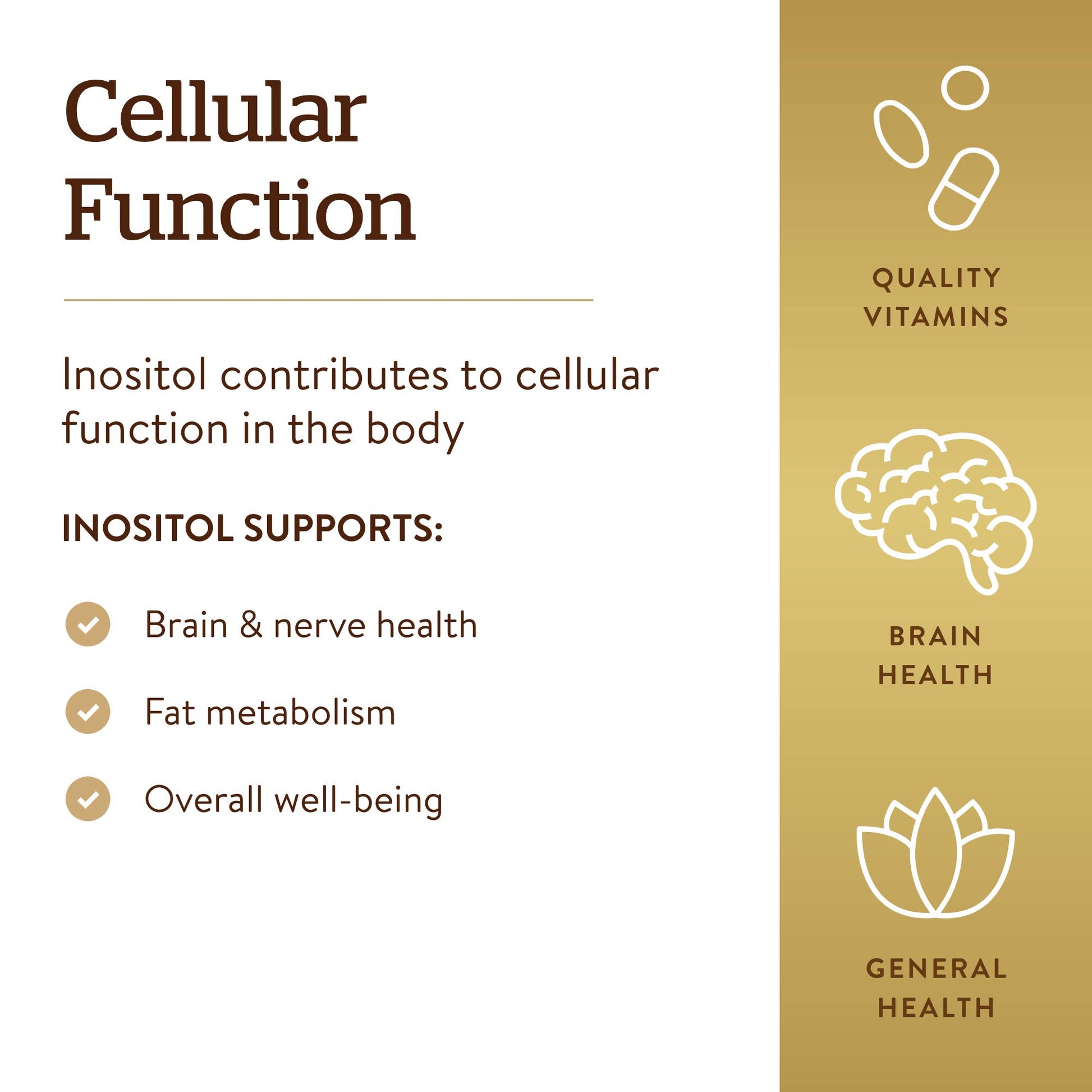 beneficios del inositol para función celular
