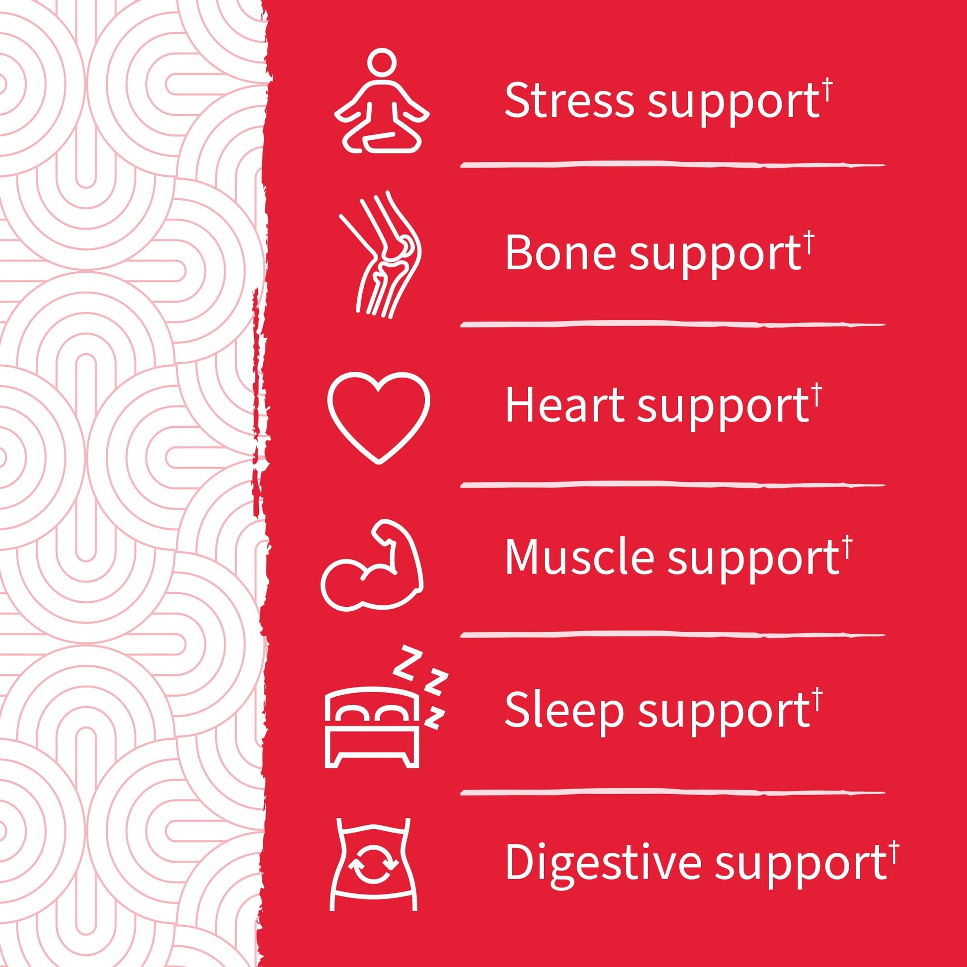 soporte para estrés, huesos, corazón, músculo, sueño y digestión en producto Garden of Life