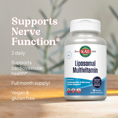 Soporte a la función nerviosa con multivitaminas para hombres y mujeres.