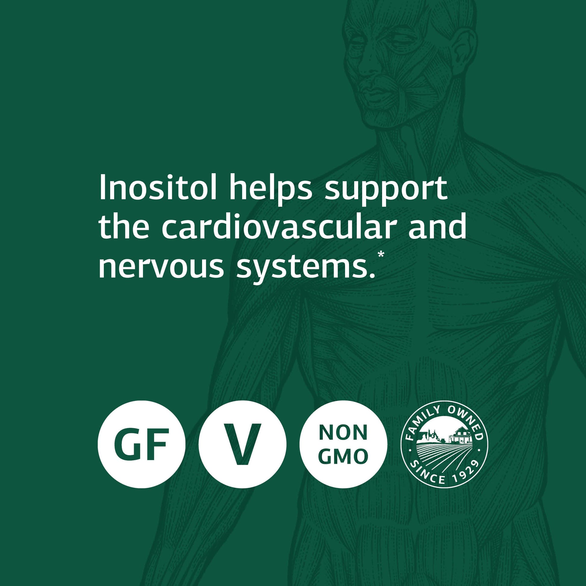 Standard Process inositol vegetariano sin gluten 90 tabletas