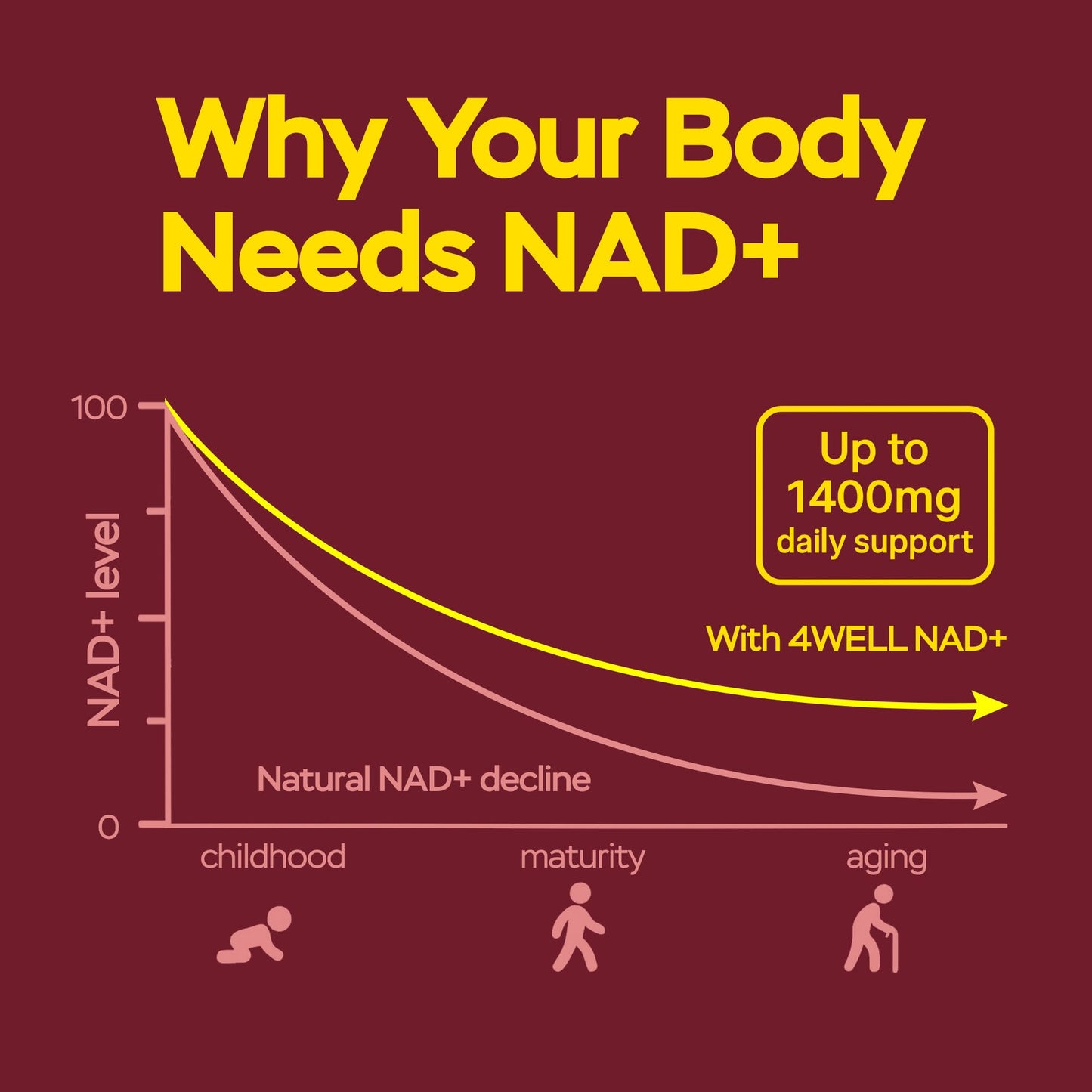 Suplemento antioxidante NAD+ para vitalidad y salud celular diaria 180 cápsulas