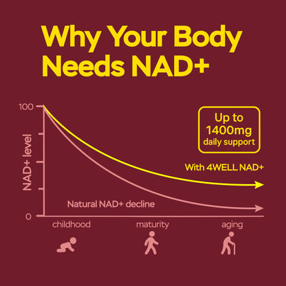 Suplemento antioxidante NAD+ para vitalidad y salud celular diaria 180 cápsulas