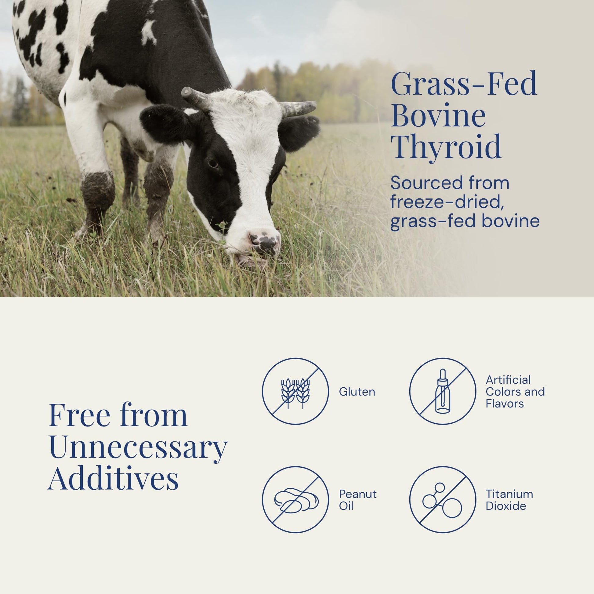 Suplemento bovino natural Raena cápsulas para bienestar