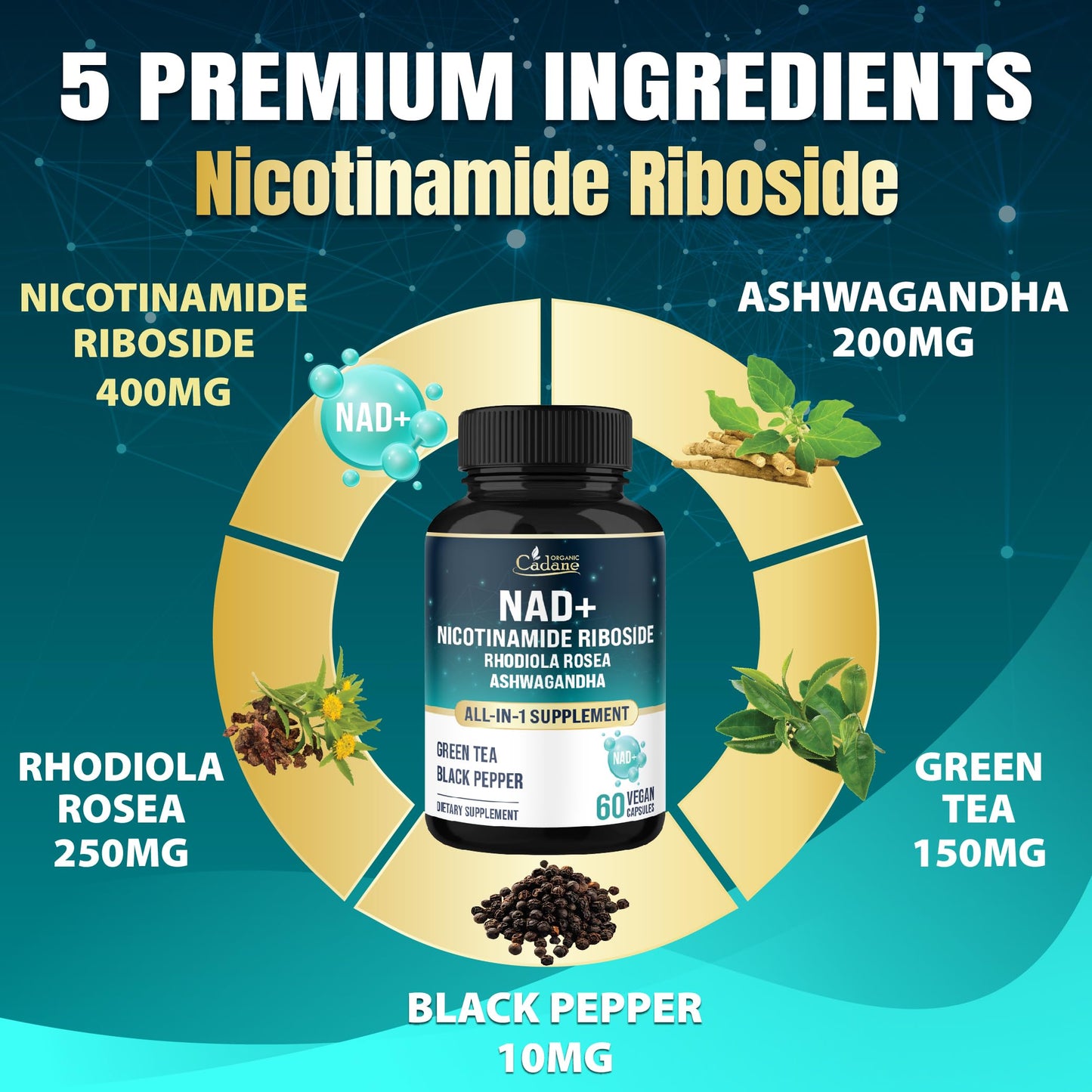 Suplemento Cadane ingredientes naturales para vitalidad celular