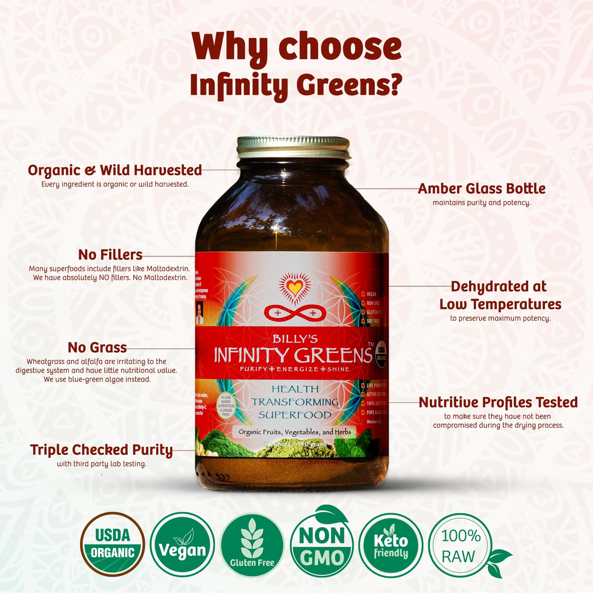 Suplemento Infinity superfoods polvo nutritivo
