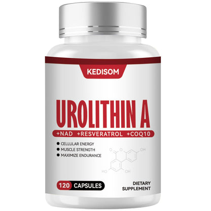 Suplemento KEDISOM Urolithin A cápsulas liposomales para energía