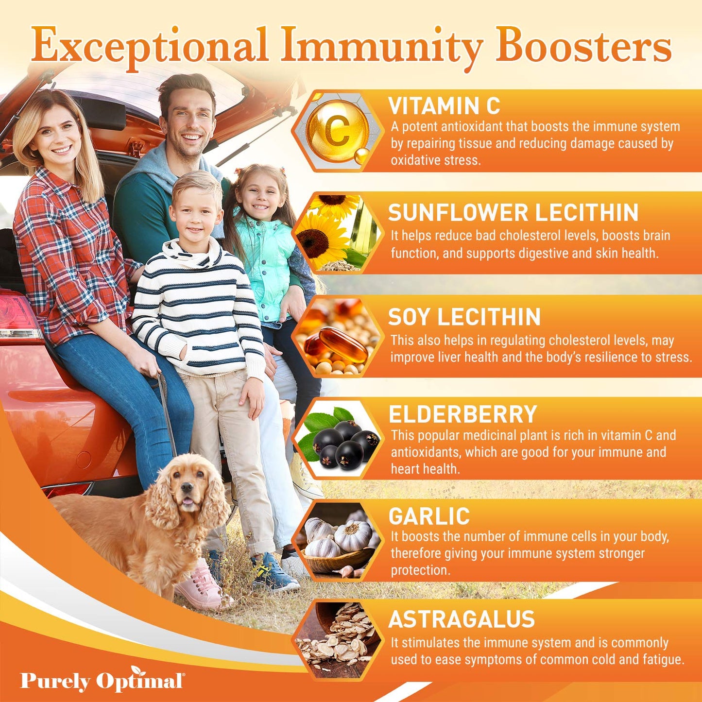 Suplemento liposomal vitamina c purey optimal infor suplementaria