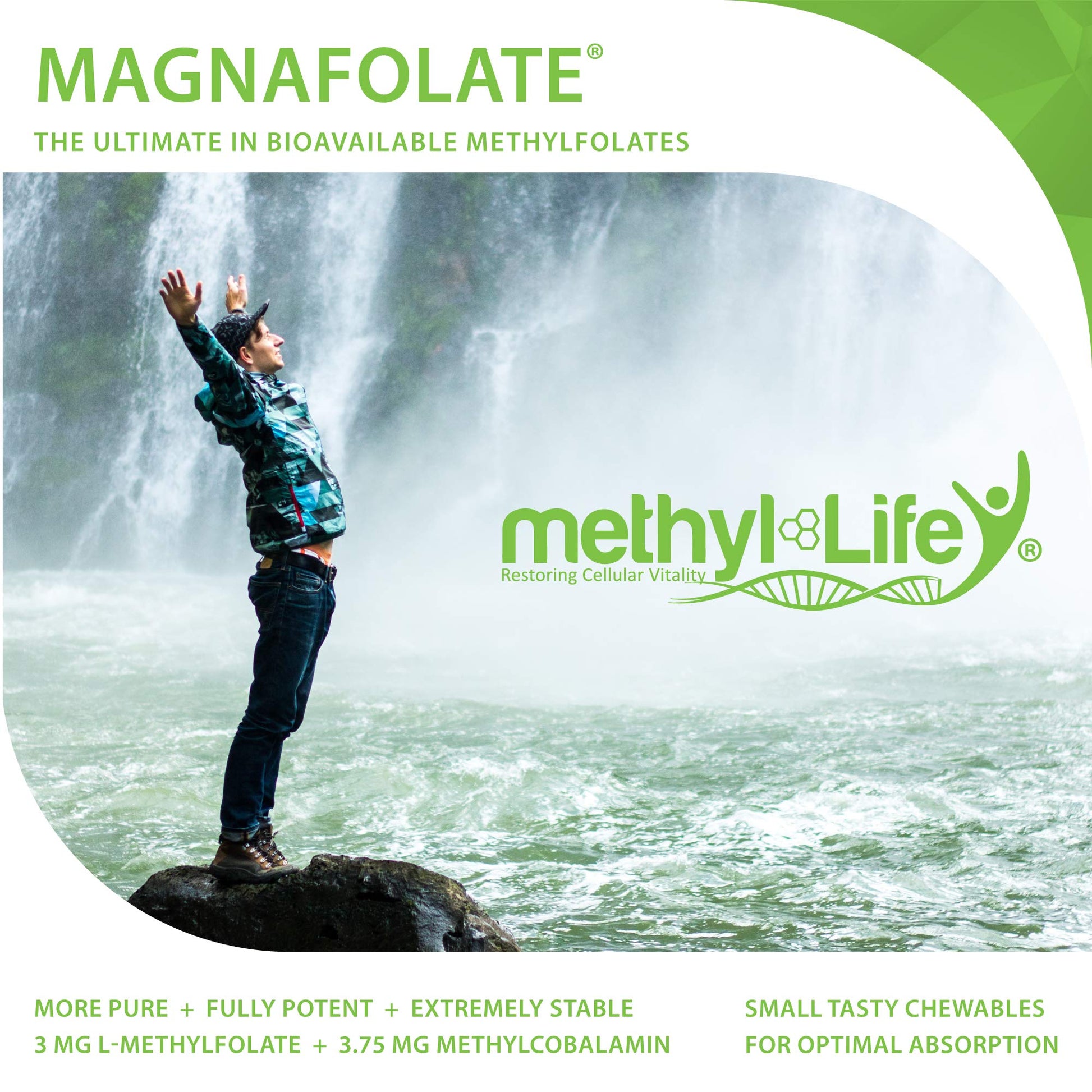 Suplemento Methyl-Life B-Methylated II chapa delantera