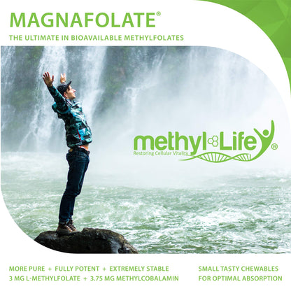 Suplemento Methyl-Life B-Methylated II chapa delantera
