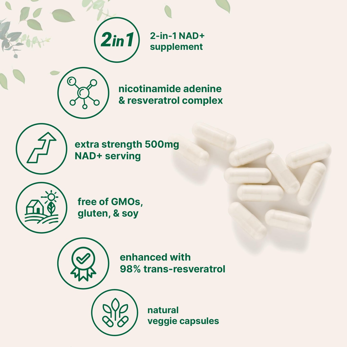 Suplemento de NAD+ con 240 cápsulas veganas