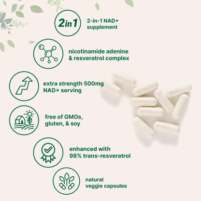 Suplemento de NAD+ con 240 cápsulas veganas